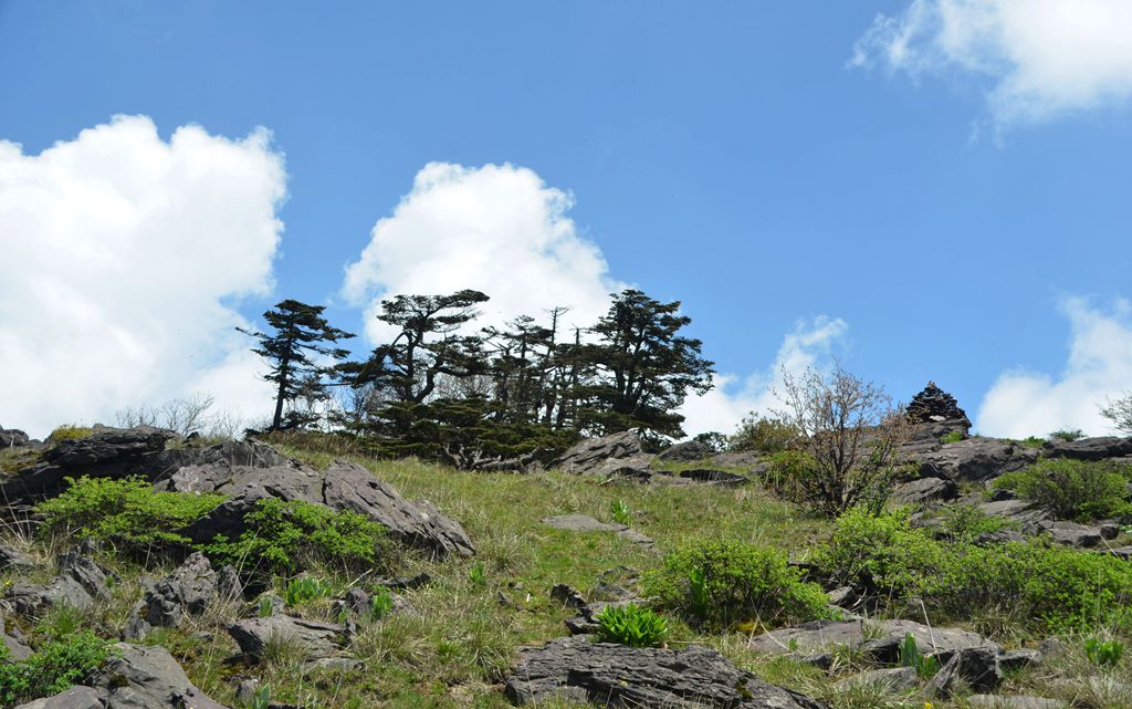DSC_7117.jpg