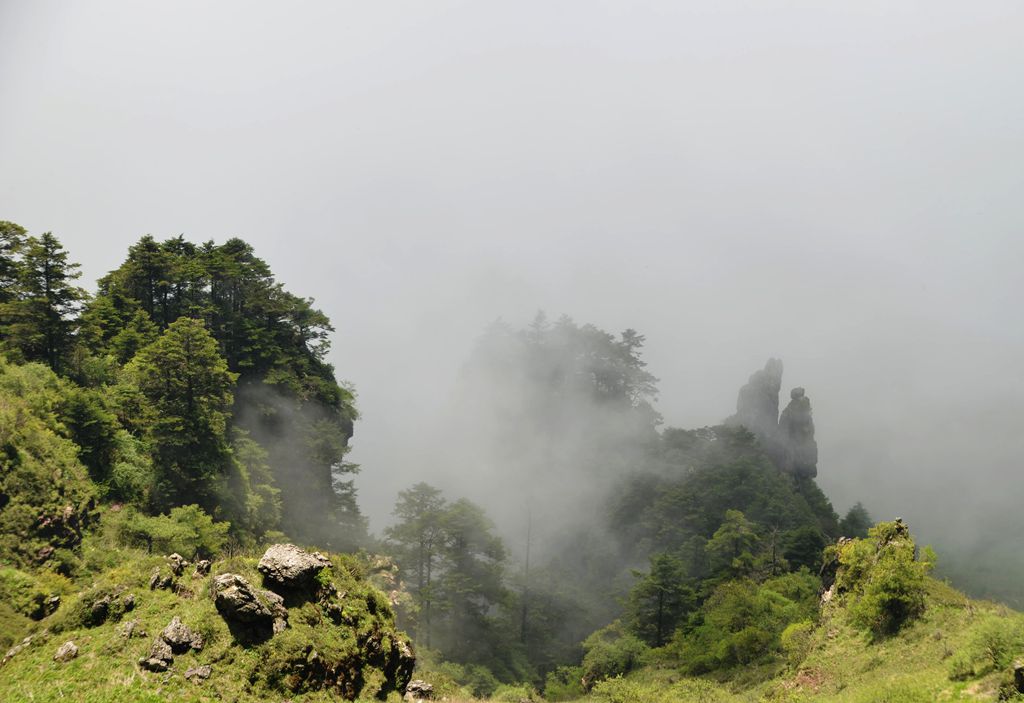 DSC_6984.jpg