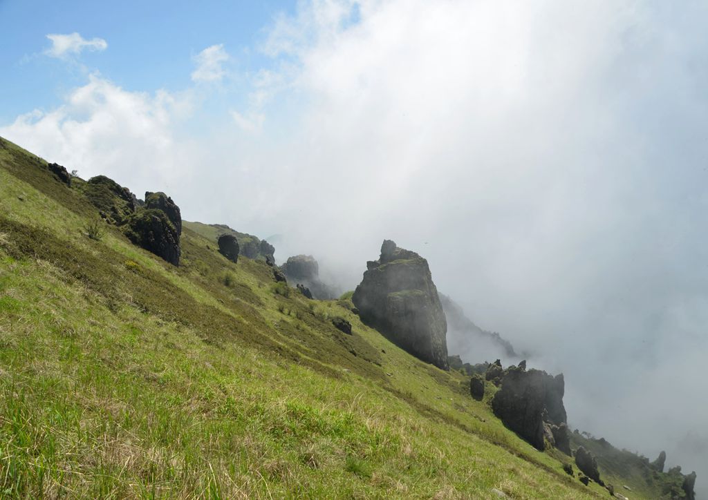 DSC_6963.jpg