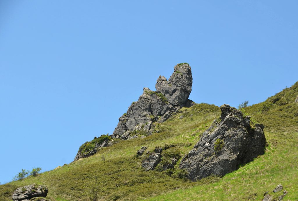 DSC_7014.jpg