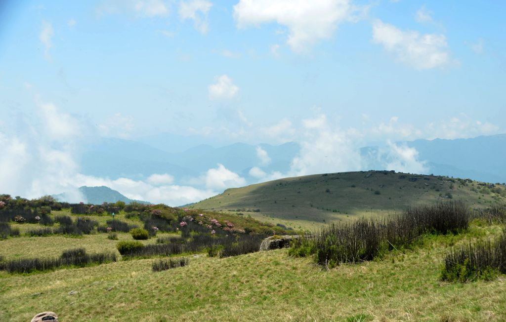 DSC_7138.jpg