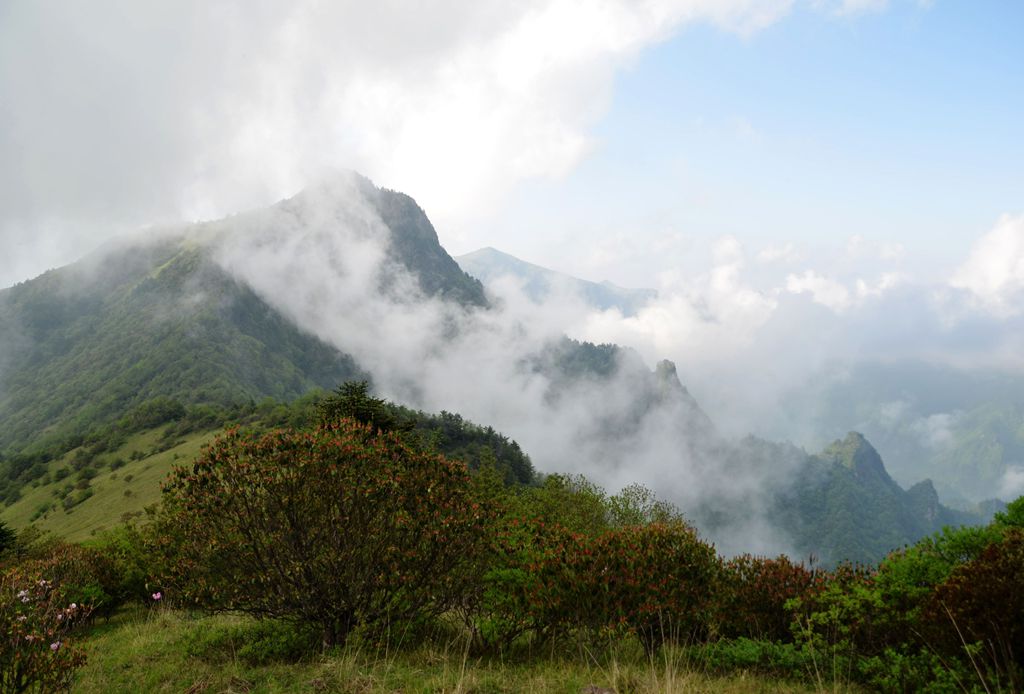 DSC_7307-1.jpg