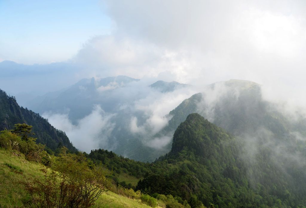 DSC_7321-1.jpg