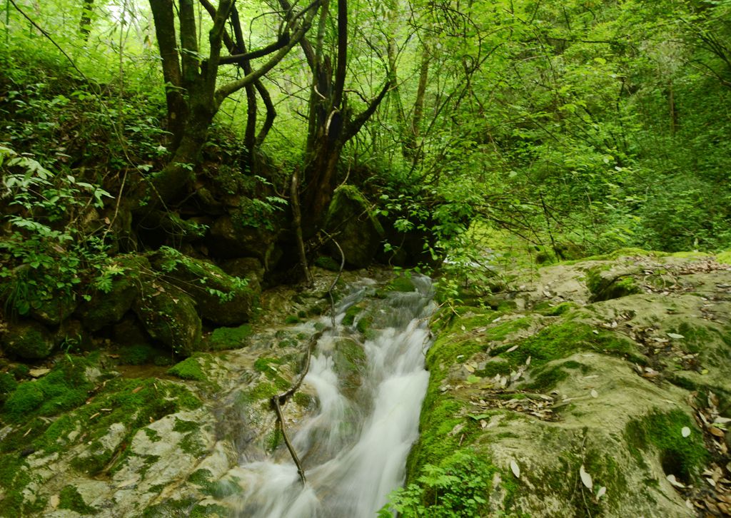 DSC_7450.jpg