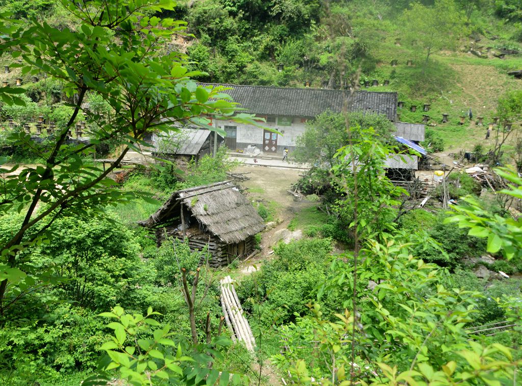 DSC_7465.jpg