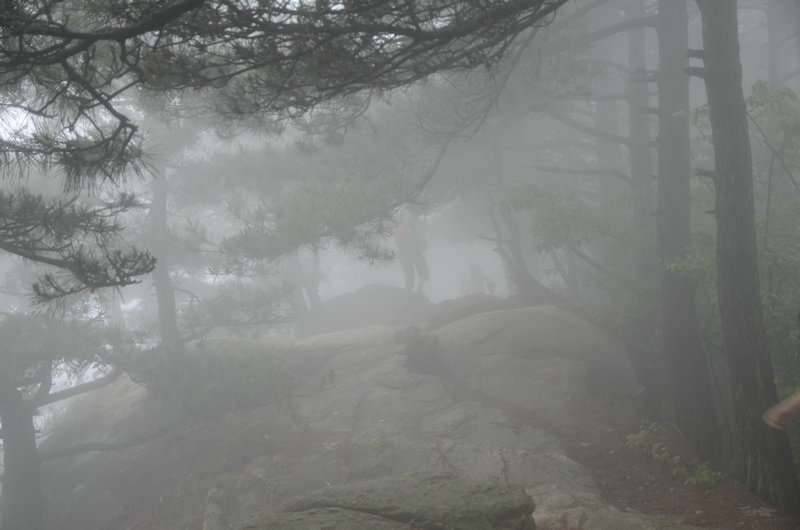 DSC_2462.JPG