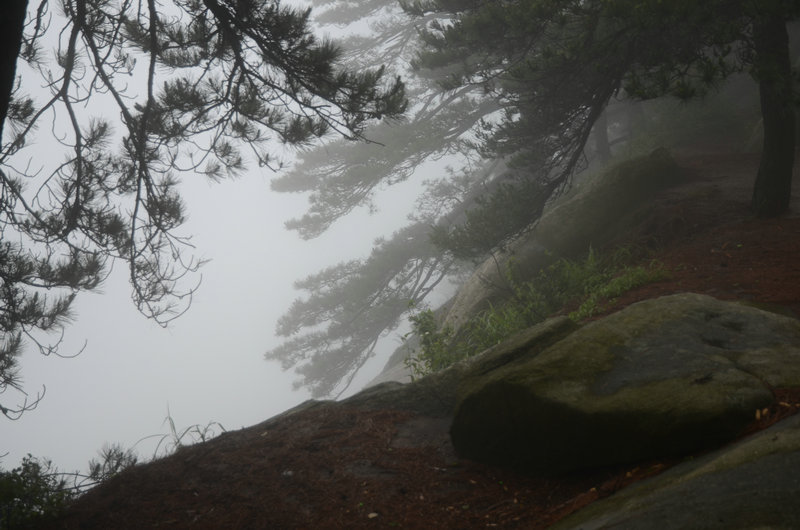 DSC_2464.JPG