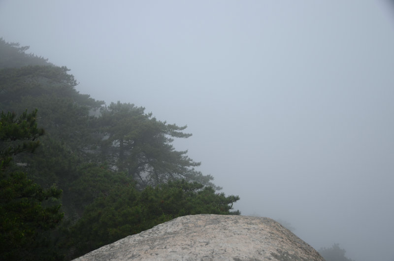 DSC_2474.JPG