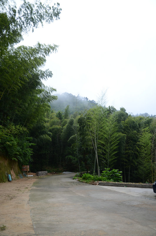 DSC_2514.JPG