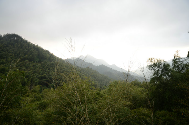 DSC_2516.JPG