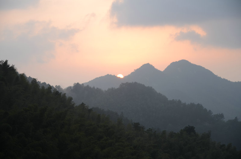 DSC_2527.JPG