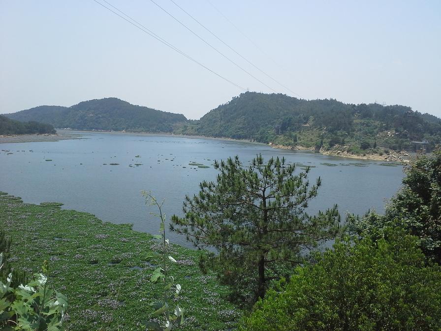 20140602_122027.jpg