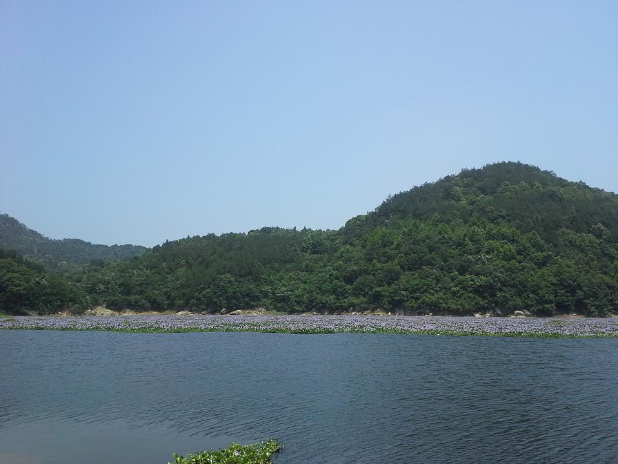 20140602_124510.jpg