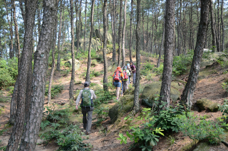 DSC_2553.JPG
