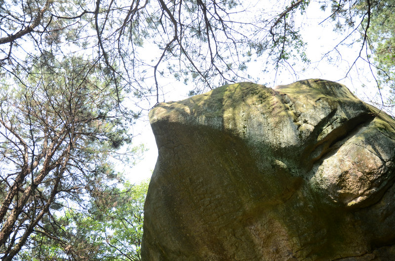 DSC_2566.JPG