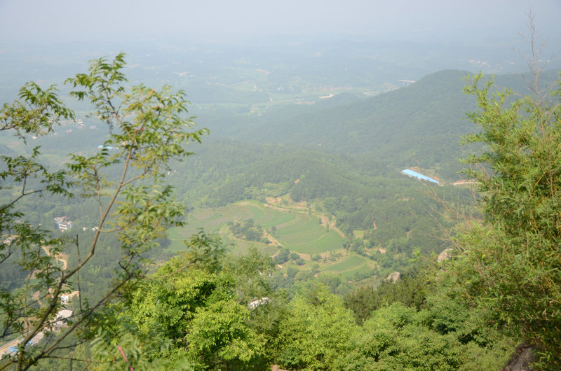 DSC_2576.JPG