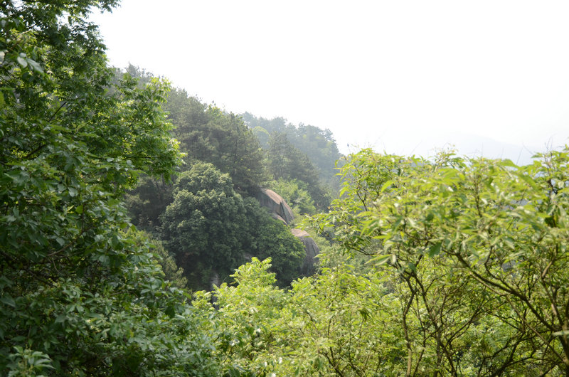 DSC_2577.JPG