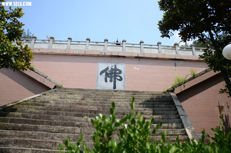 DSC_2676.JPG