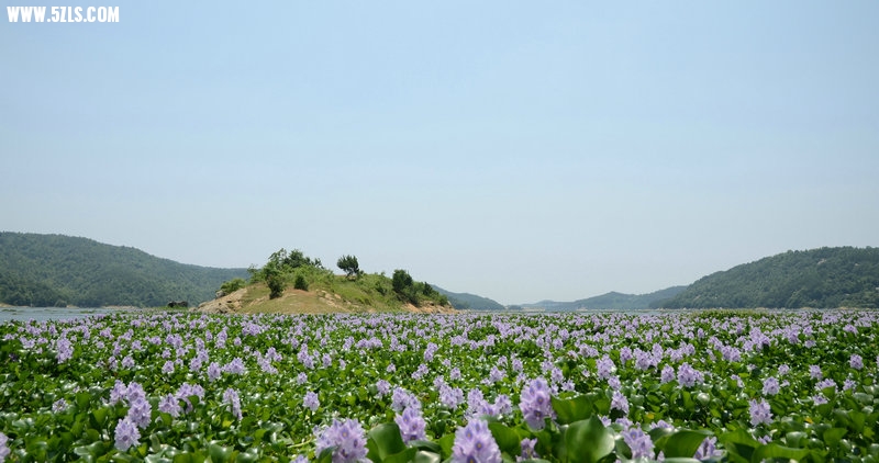 DSC_2718.JPG