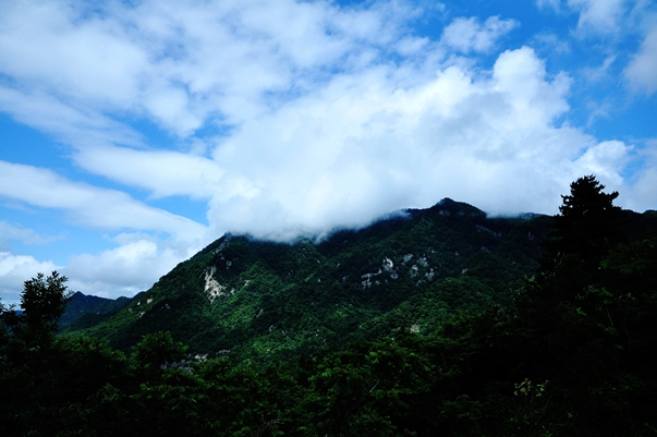 DSC_0023.JPG