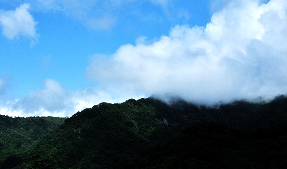 DSC_0045.JPG