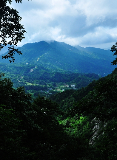 DSC_0080.JPG