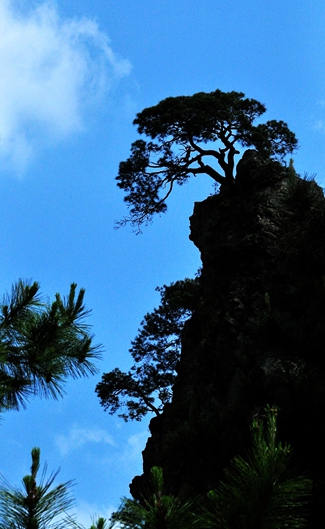 DSC_0386.JPG