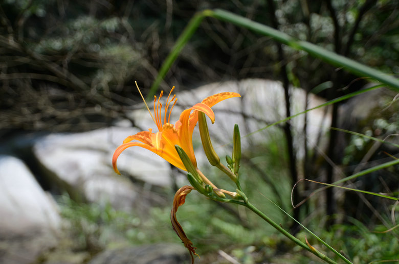 DSC_2852.JPG