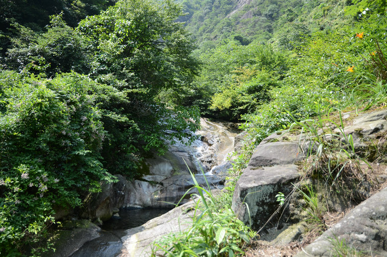DSC_2853.JPG