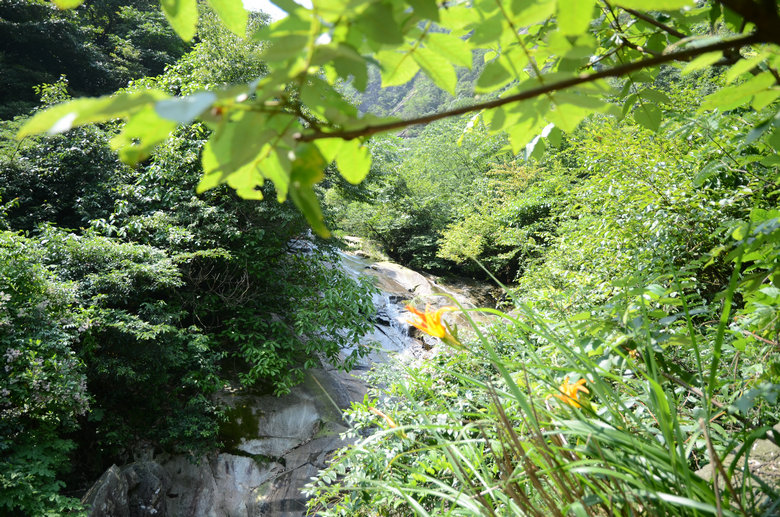 DSC_2854.JPG