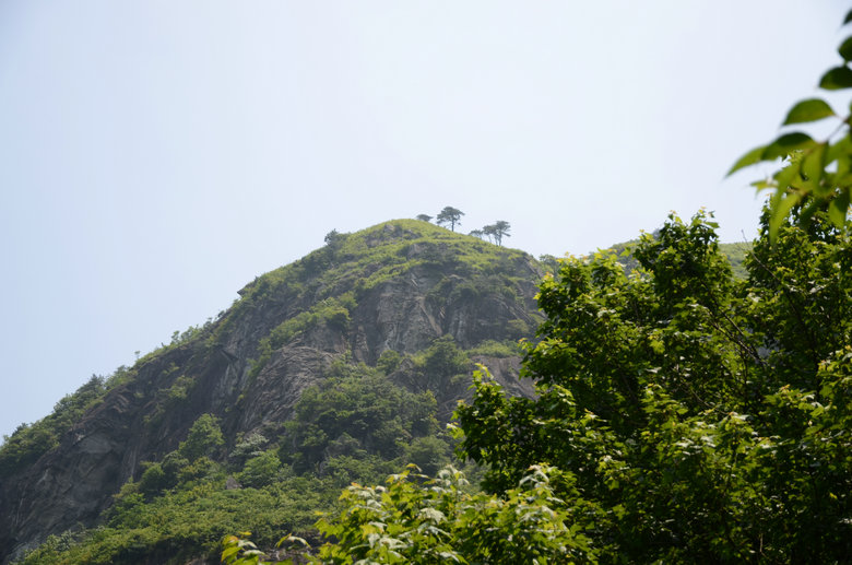 DSC_2866.JPG
