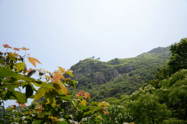 DSC_2868.JPG