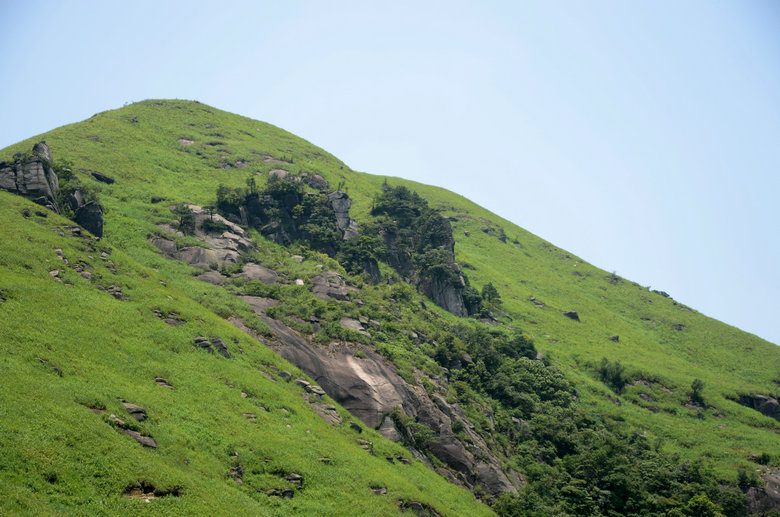 DSC_2895.JPG