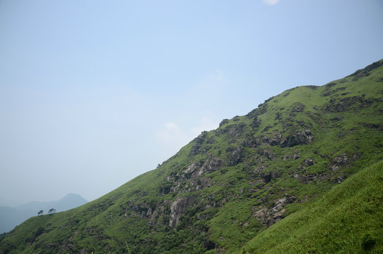 DSC_2903.JPG