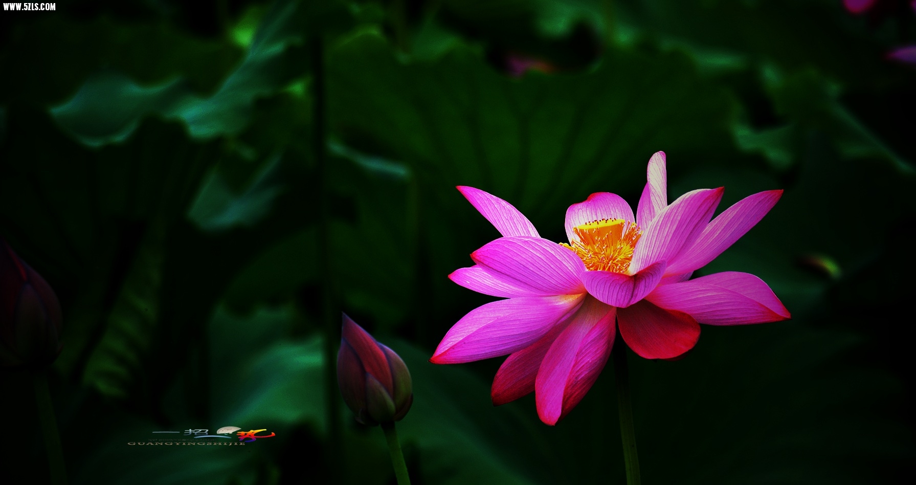 DSC_0036.jpg