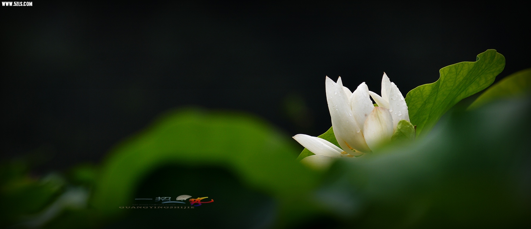 DSC_0058.jpg