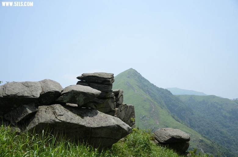 DSC_2950.JPG