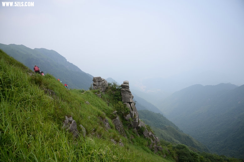 DSC_2982.JPG