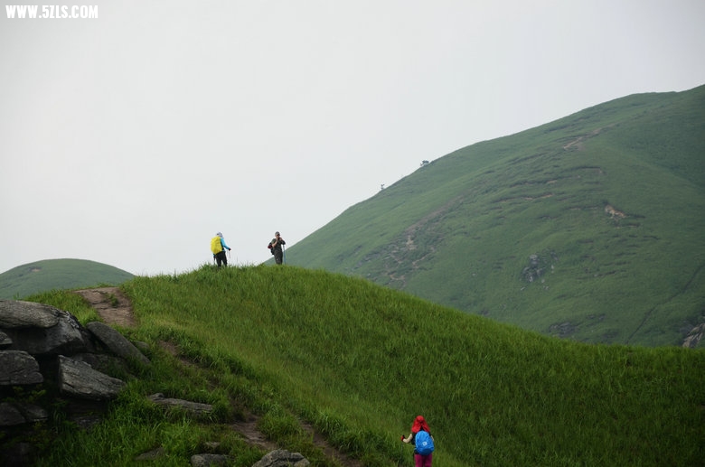 DSC_2986.JPG