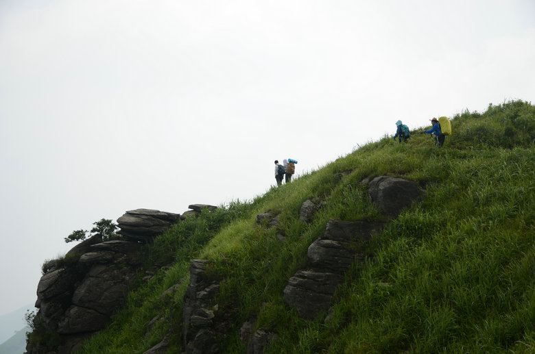 DSC_2991.JPG
