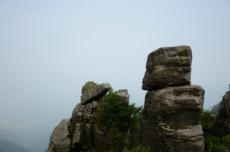 DSC_2992.JPG