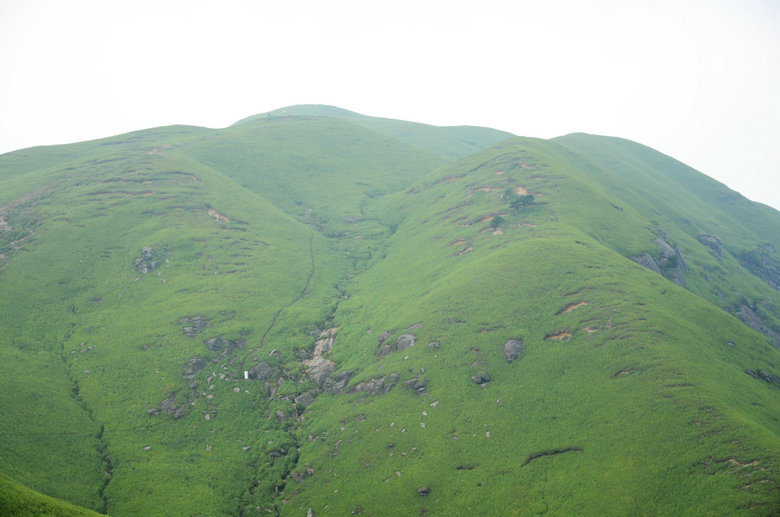 DSC_3030.JPG