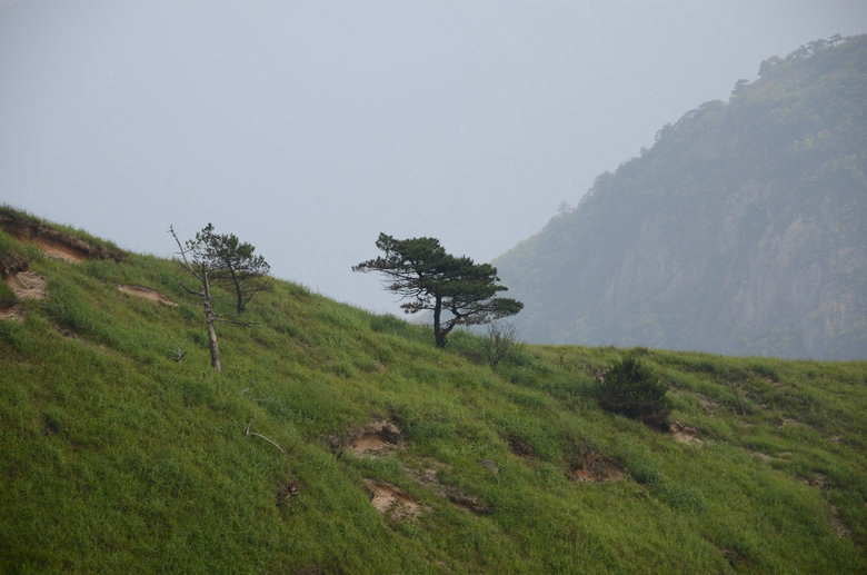 DSC_3046.JPG