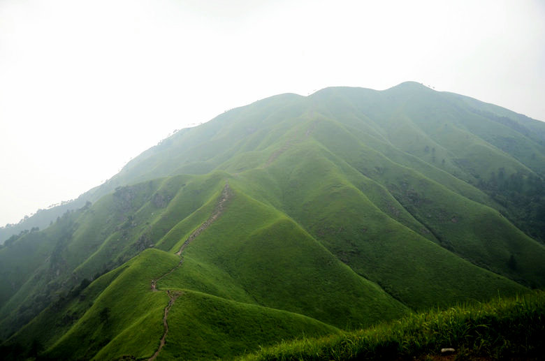 DSC_3056.JPG