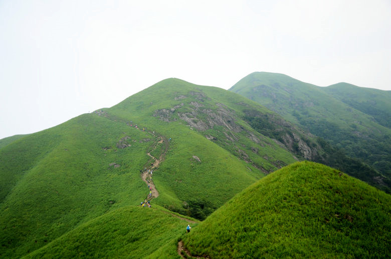 DSC_3074.JPG