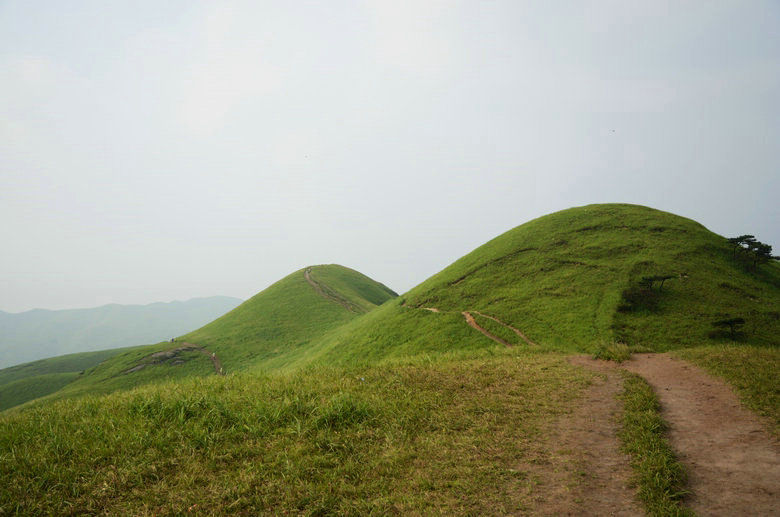DSC_3117.JPG