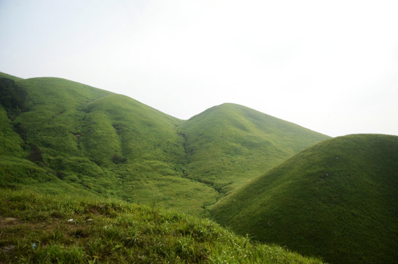 DSC_3125.JPG