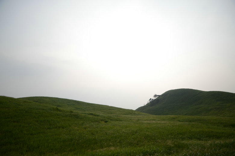 DSC_3133.JPG