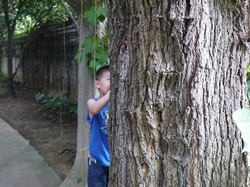 P1040454_副本.jpg