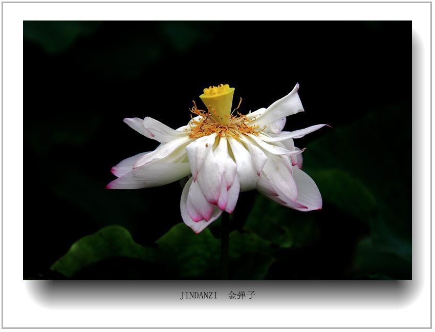 IMG_9758.jpg